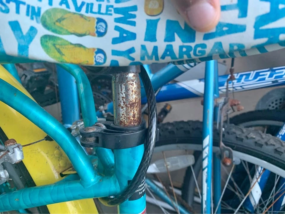2021 Trek Marlin 5 Mountain Bike