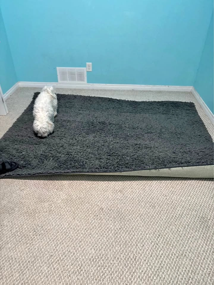 Grey Rug