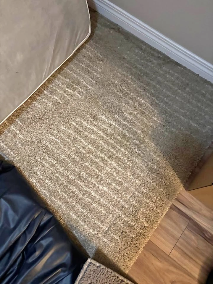 Beige rug