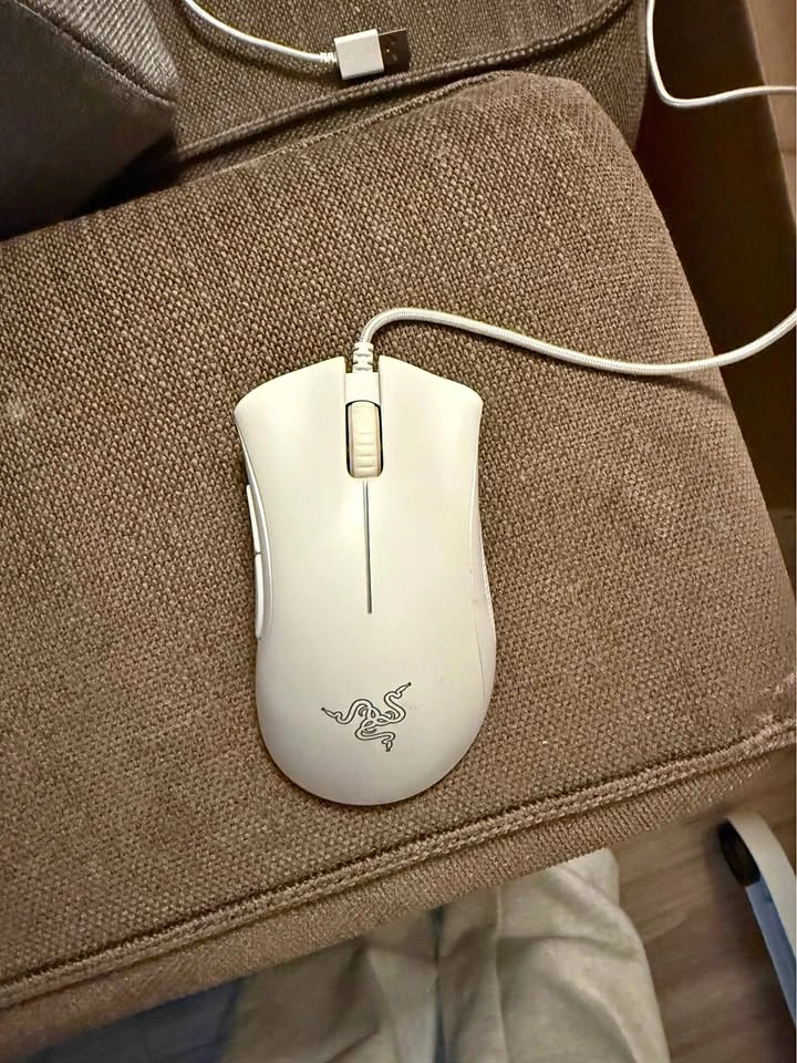 Razer Deathadder Essential mouse