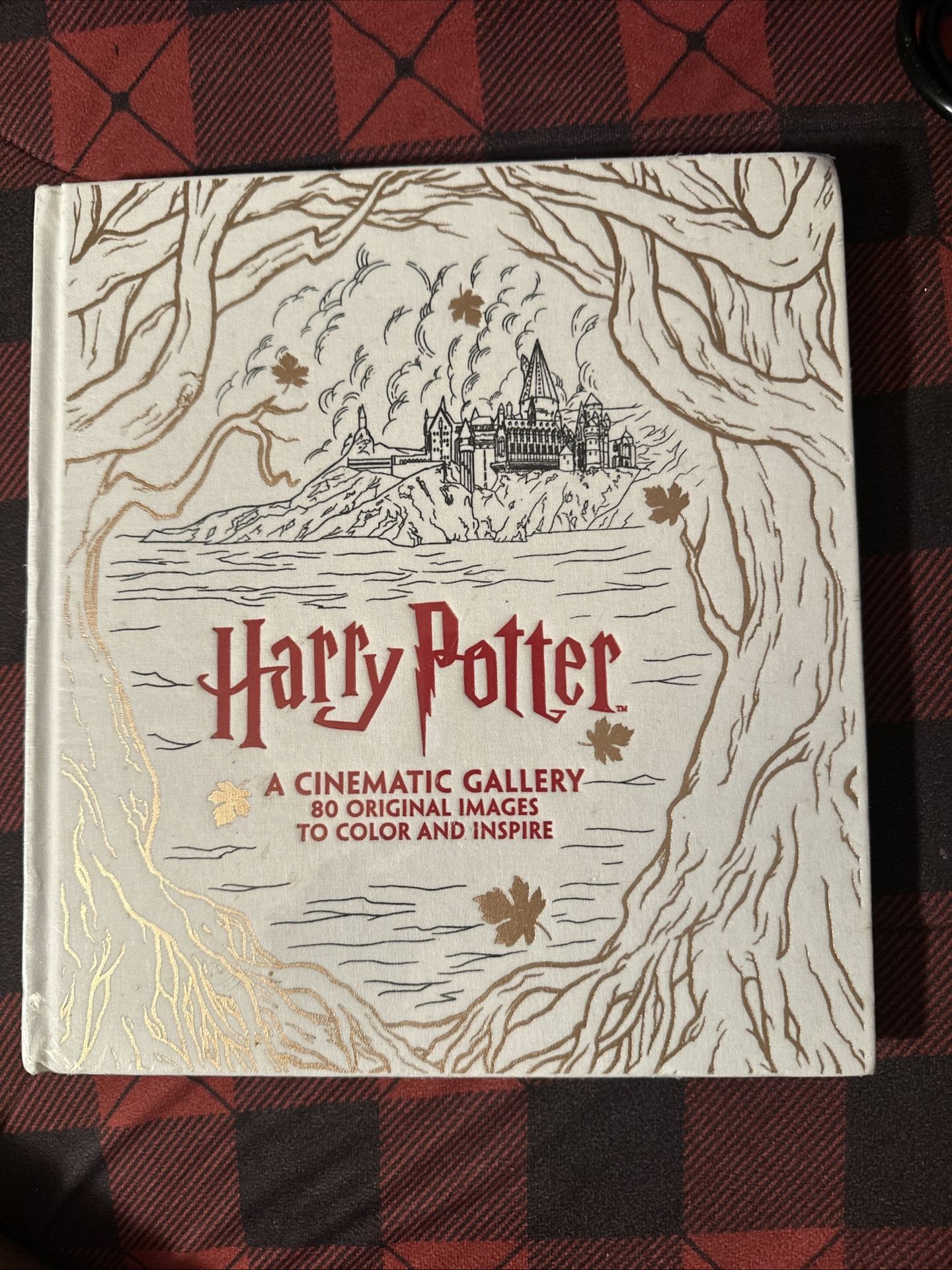 Harry Potter: A Cinematic Gallery - 80 Images to Color