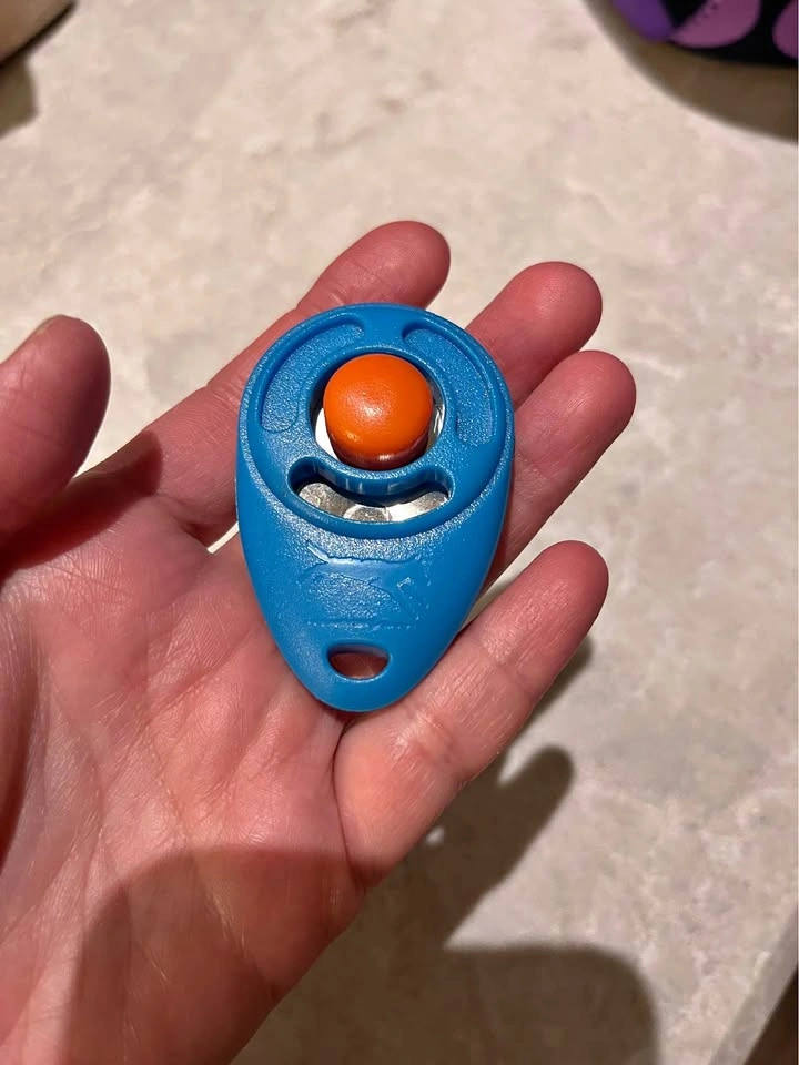 Dog training clicker