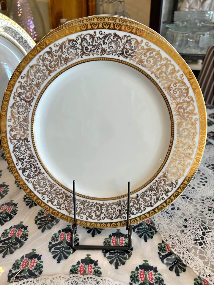 Dinner Plates for 6