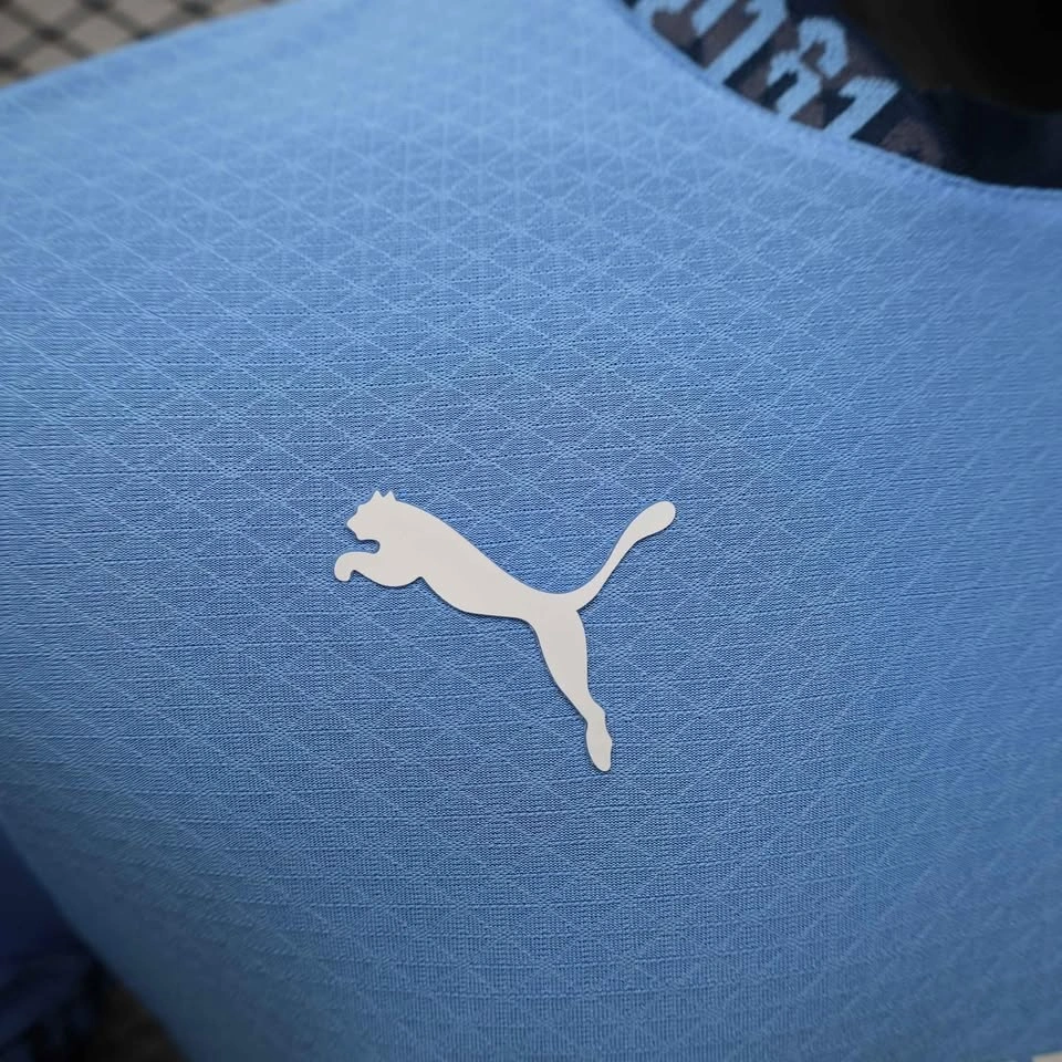 Manchester City 24/25 Season Jersey - photo 4