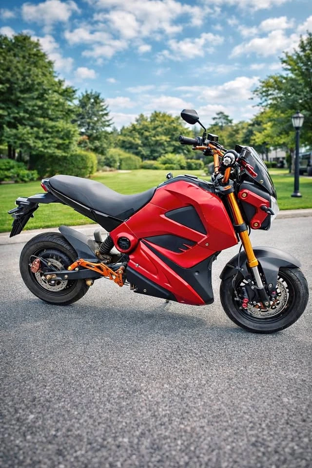 Daymak EM1 Electric Motorcycle – 72V
