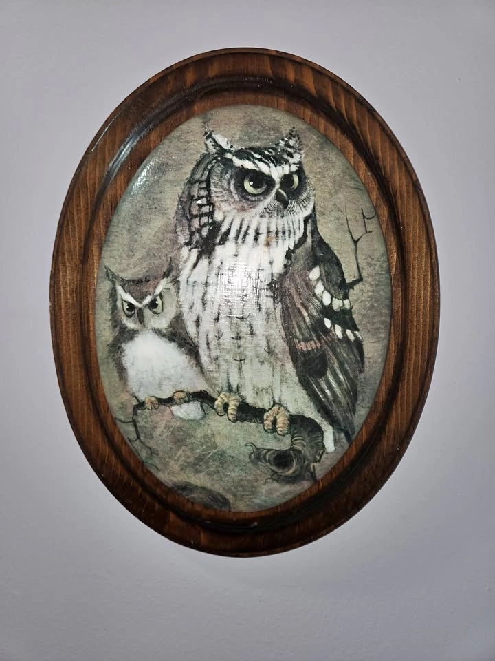 Vintage Owl Wall Art on Oval Solid Wood Backing