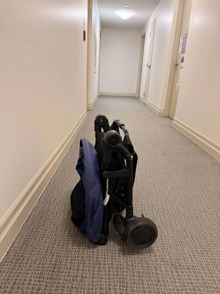 Mountain Buggy Nano stroller - photo 4