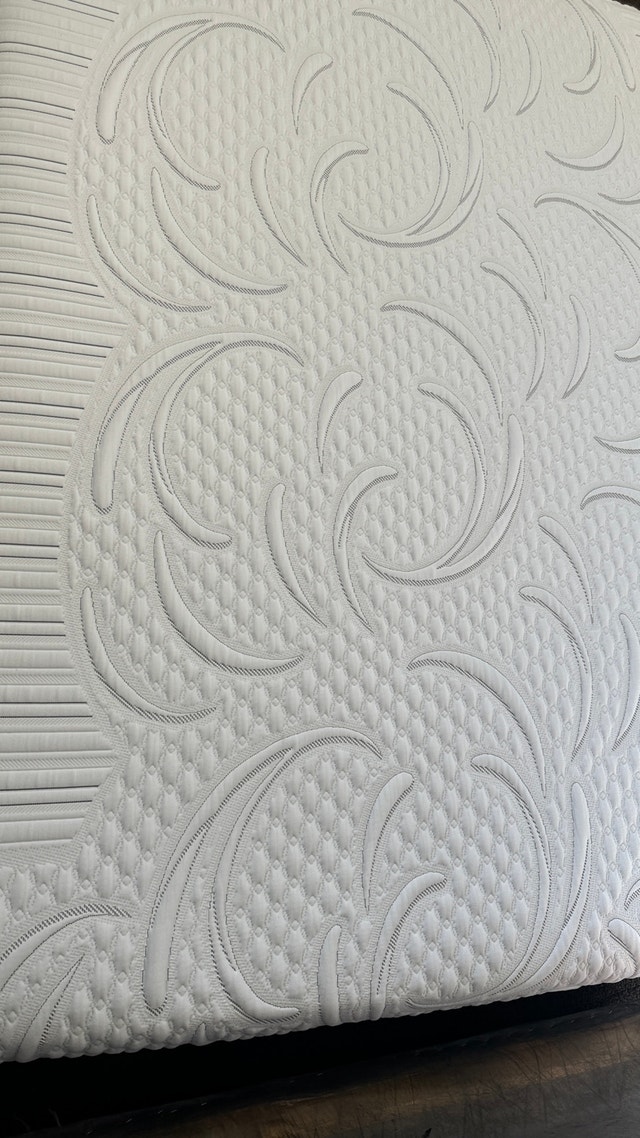 I Comfort Visonary EFX Queen Foam Mattress