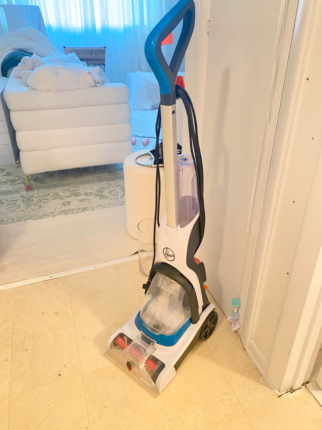 Carpet cleaner