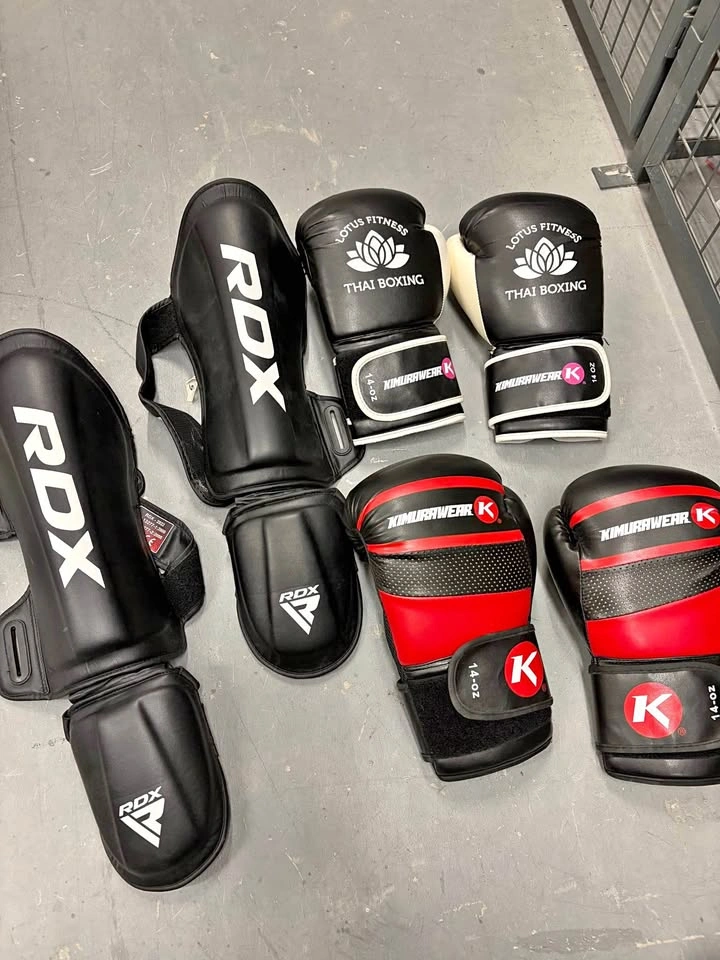 Boxing & Muay Thai Gear Bundle – 14oz Gloves + RDX Shin Guards (
