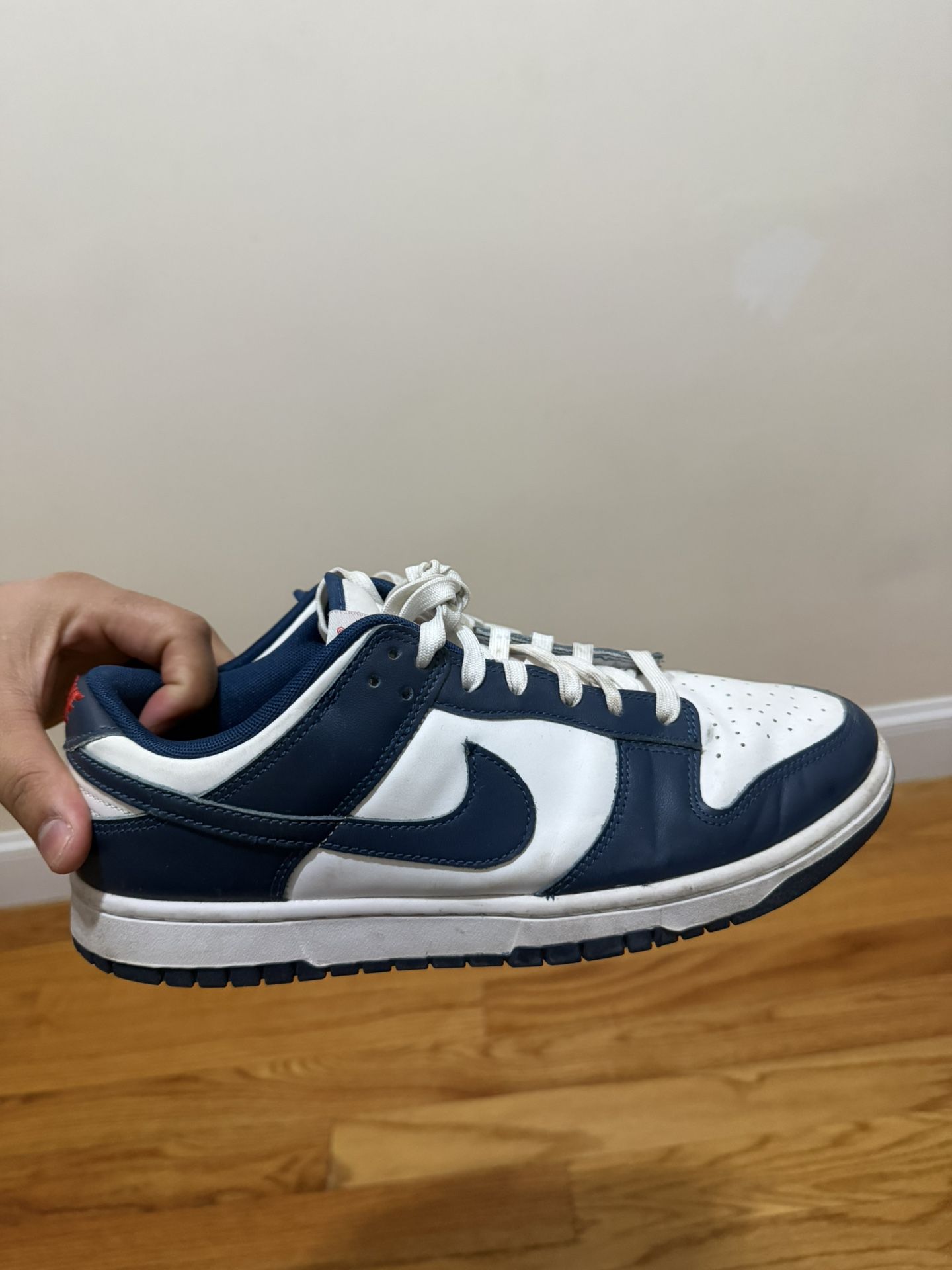 Nike Low Tops
