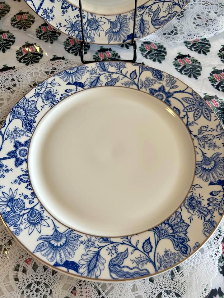 Porcelain Dinner Plates for 8