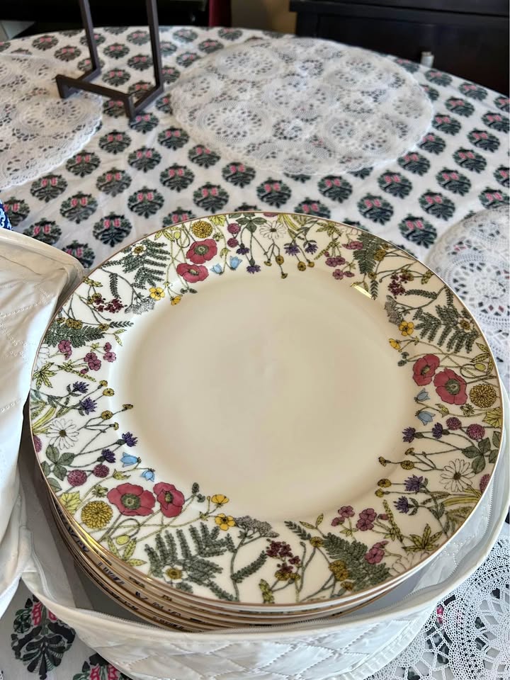 Dinner Plates for 8