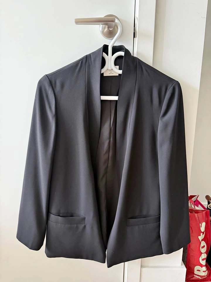 Aritzia Wilfred Blazer