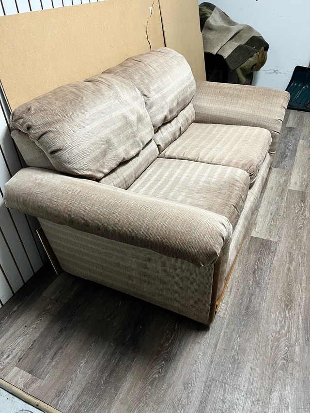 Comfy Loveseat for Small Spaces - Used Good