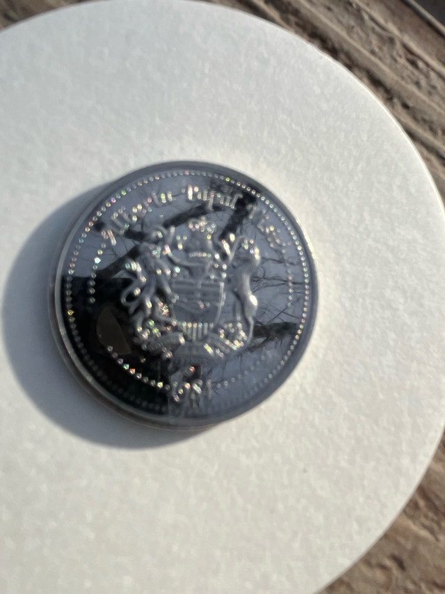 Pope John Paul II 1984 Alberta Visit Commemorative Coin - photo 2