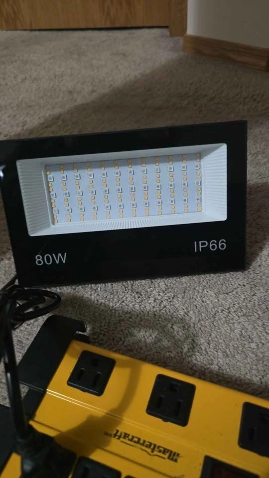LED Flood Light - 2 Pack - photo 5