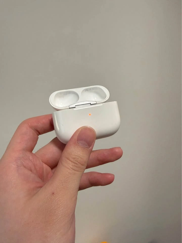 Apple Airpods Pro Case - photo 2