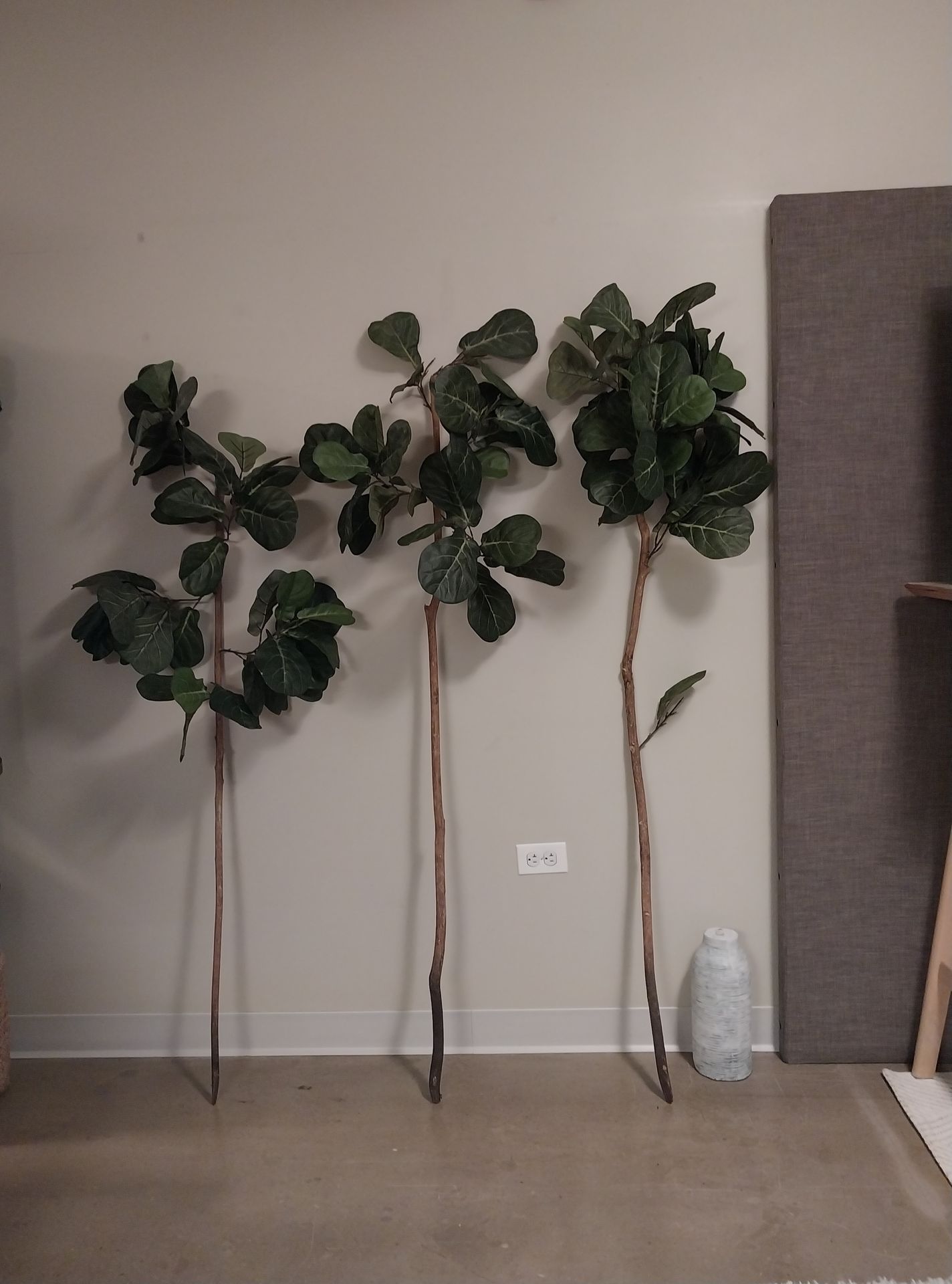 3 Faux Fiddle Leaf Fig Trees $25 (Old Town)
