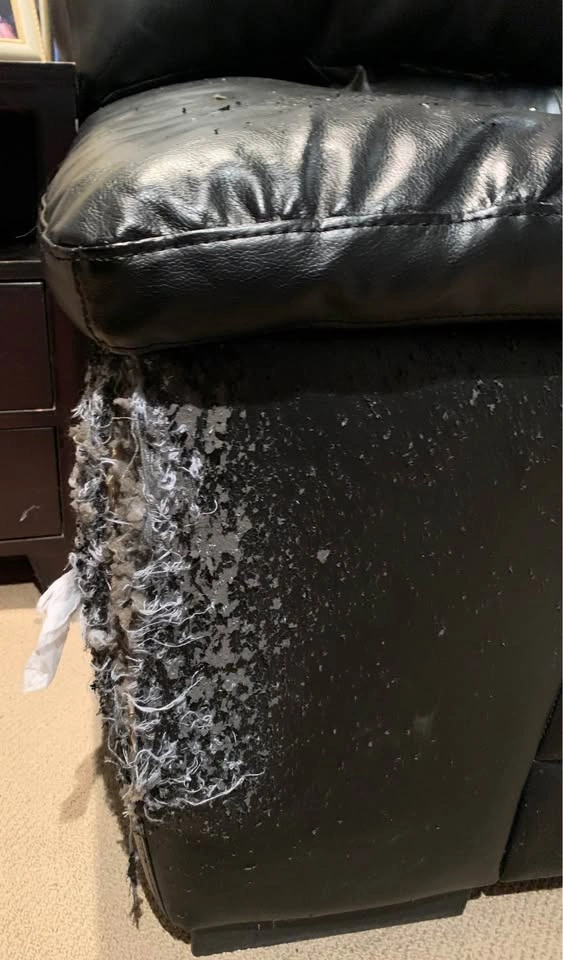 Leather Loveseat - photo 3
