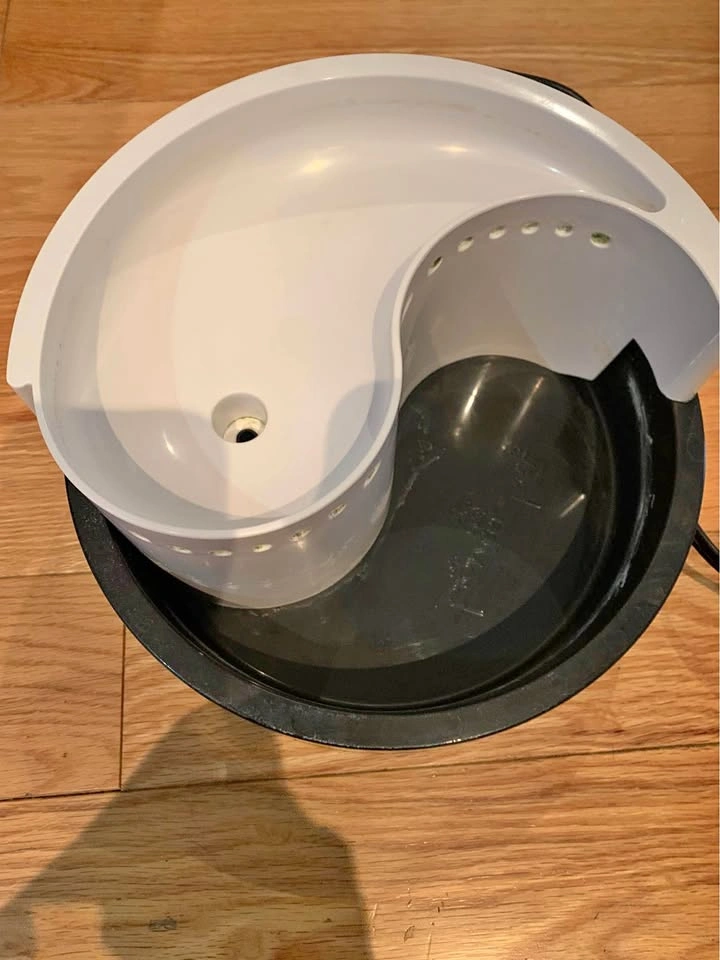 Cat drinking fountain