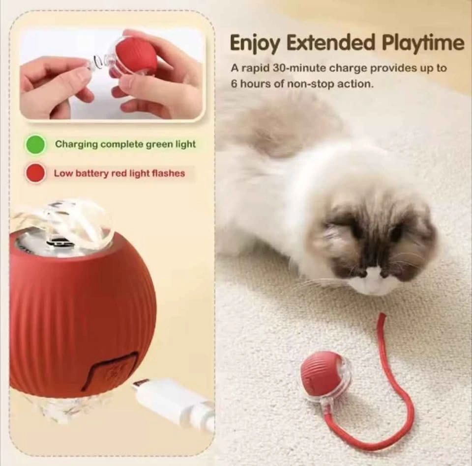 Smart Cat Toys With USB charging - photo 2