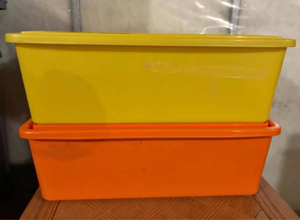 Set of 2 Large Durable Storage Containers