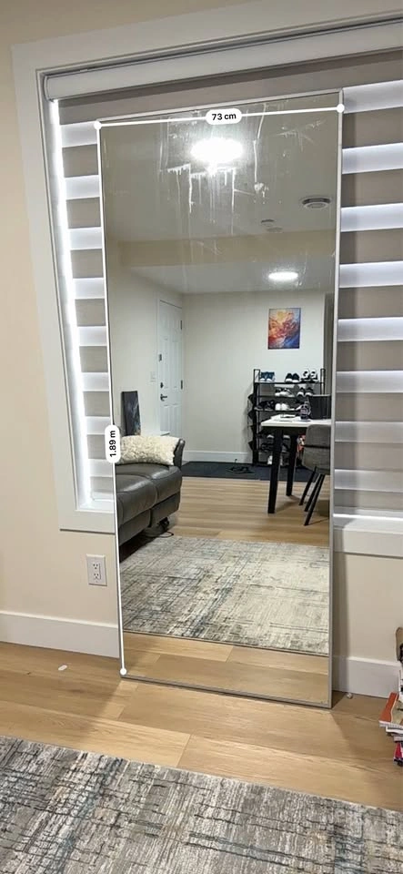 Mirror (6.5 x 2.5 ft) on aluminum frame