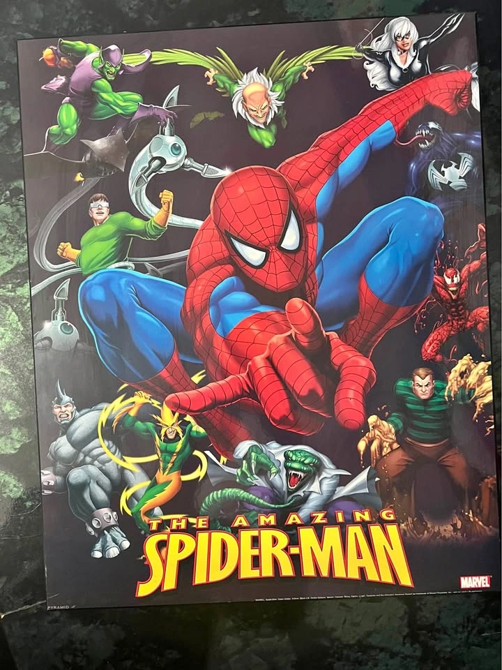 Spider-Man picture