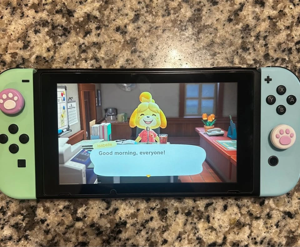 Animal Crossing Edition Switch! - photo 5