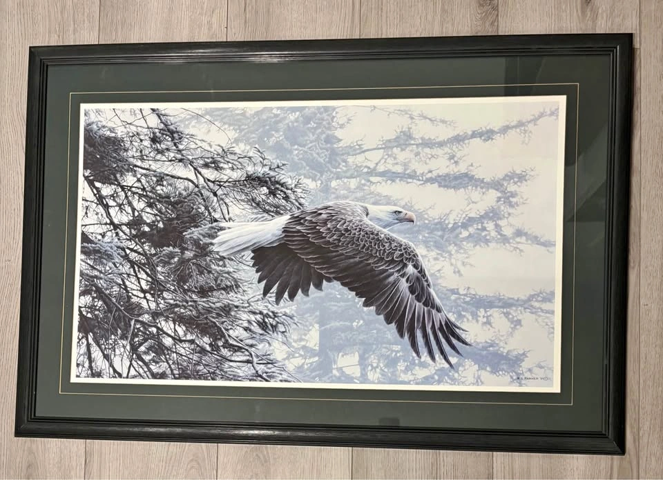 R S Parker “Through the Firs” Eagle Art Print