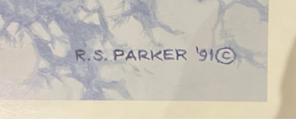 R S Parker “Through the Firs” Eagle Art Print - photo 3