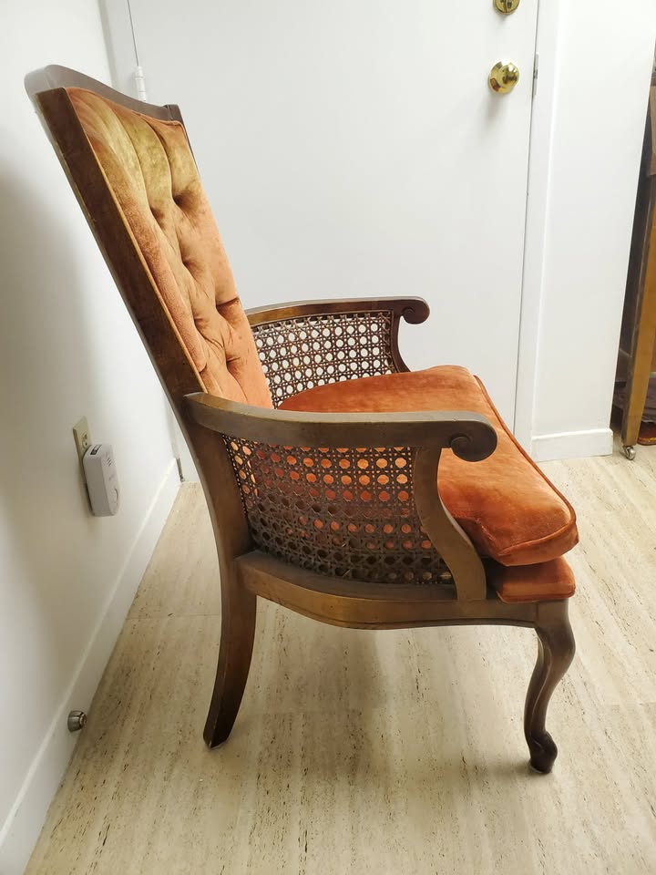 Vintage Bergère Chair - photo 4