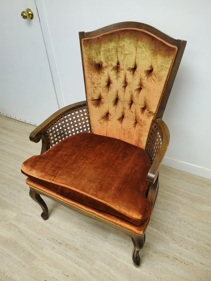 Vintage Bergère Chair - photo 5