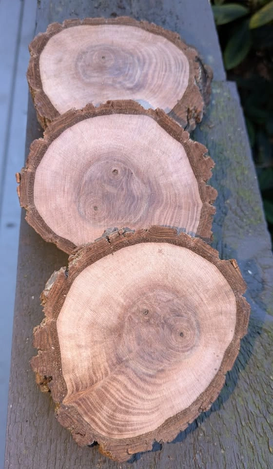 Walnut wood rounds - Available today! - photo 3