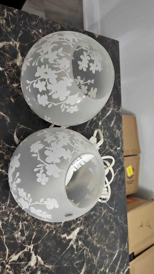 2 Frosted Floral Globe Lamps
