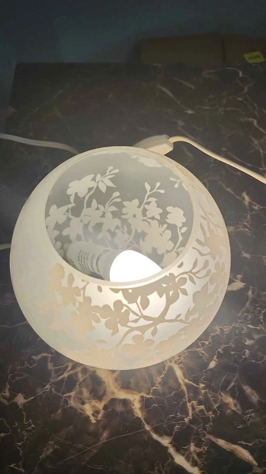 2 Frosted Floral Globe Lamps - photo 5
