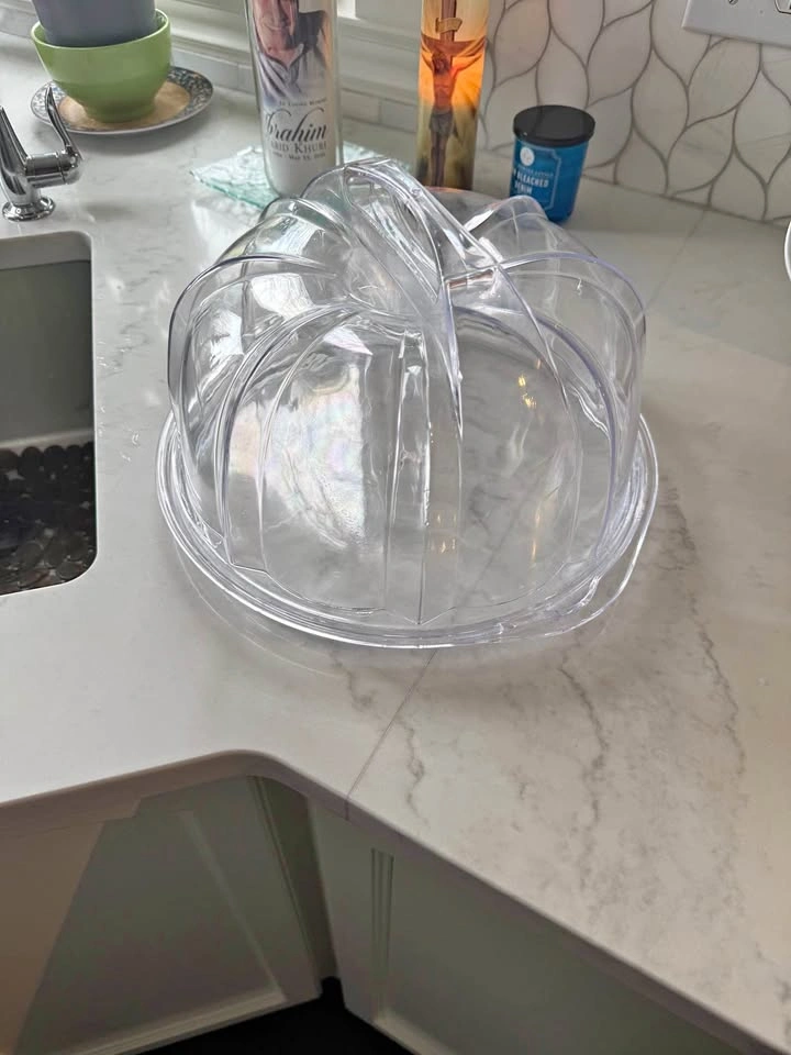 Cake carrier