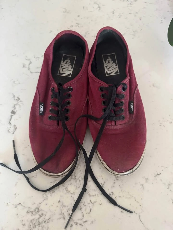Vans Shoes (Women’s 7, Men’s 5.5)