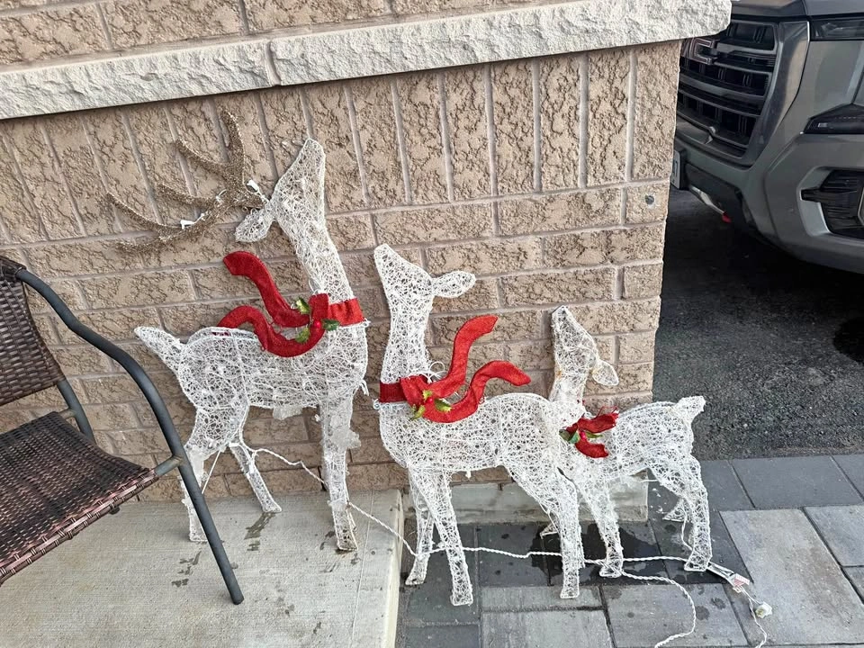 CANVAS LED Arctic Deer - 3pk Outdoor Christmas Decor