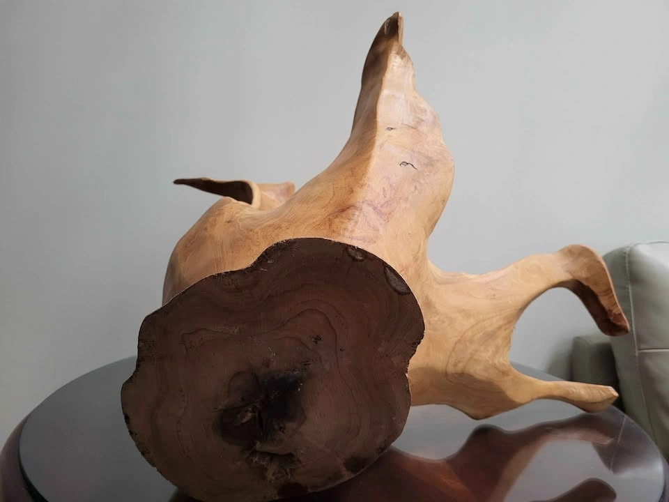 Large Organic Root Carving Sculpture Bowl - Burlwood - photo 4