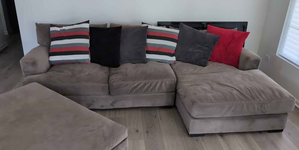 Beautiful ZGallerie Sofa - photo 2