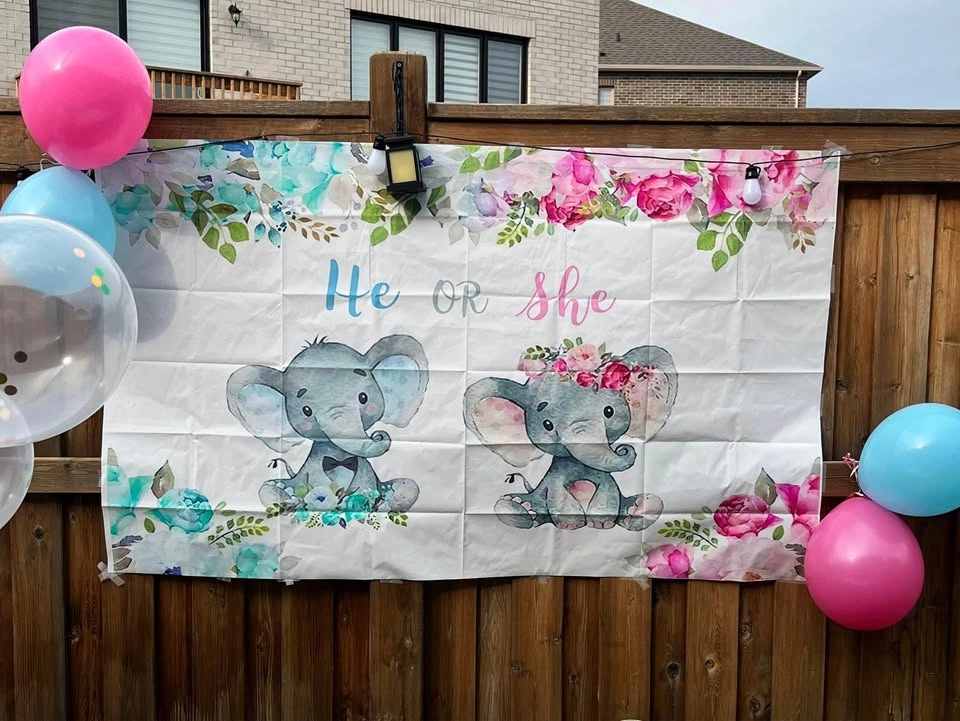 Gender Reveal Backdrop