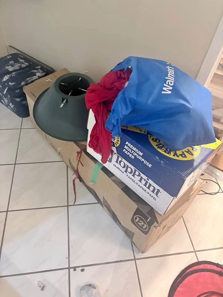 X mad bundle