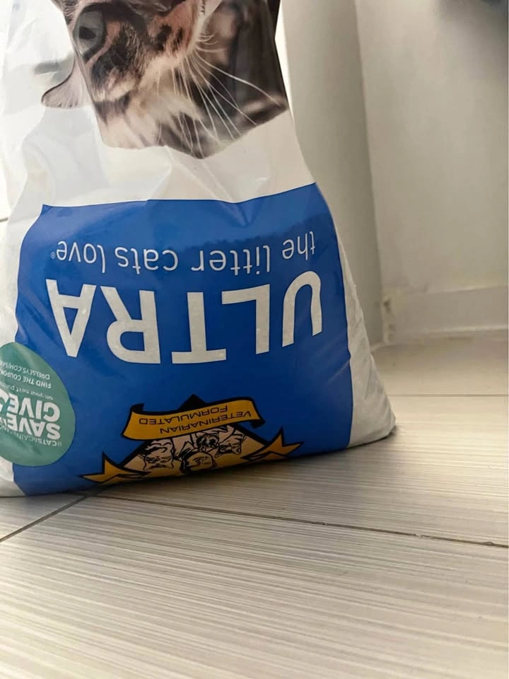 Dr. Elseys Cat Litter