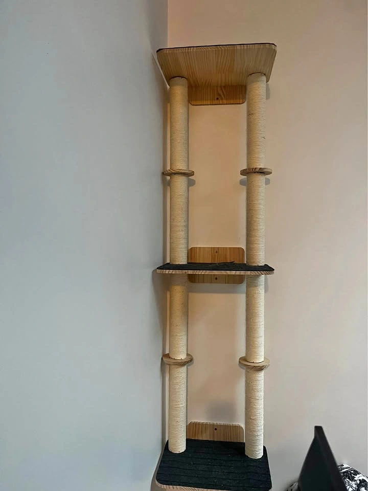 Cat Climber