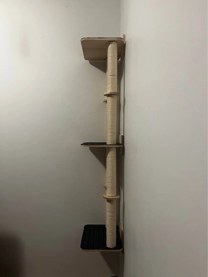 Cat Climber - photo 2
