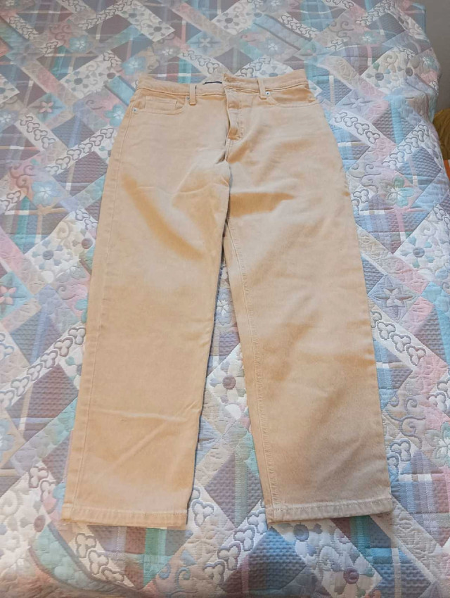 Banana Republic Pants