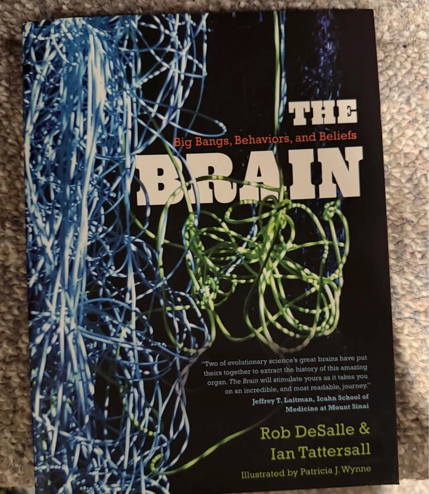 Universe with in: $10, The brain : $15 - photo 2