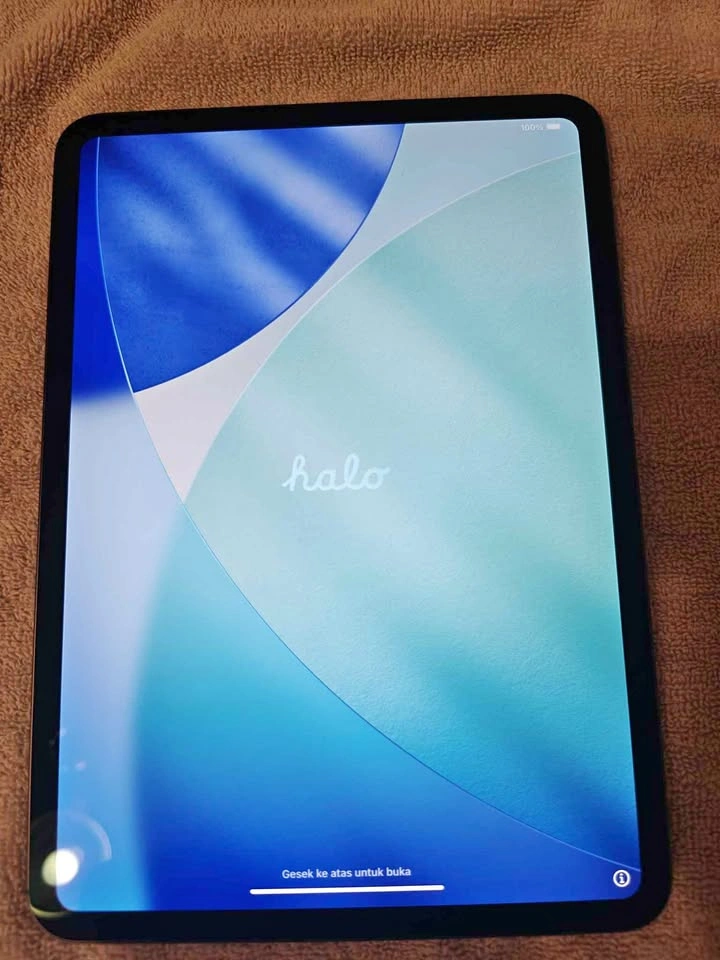Apple iPad Pro M5 11” WiFi + Cellular – Like New